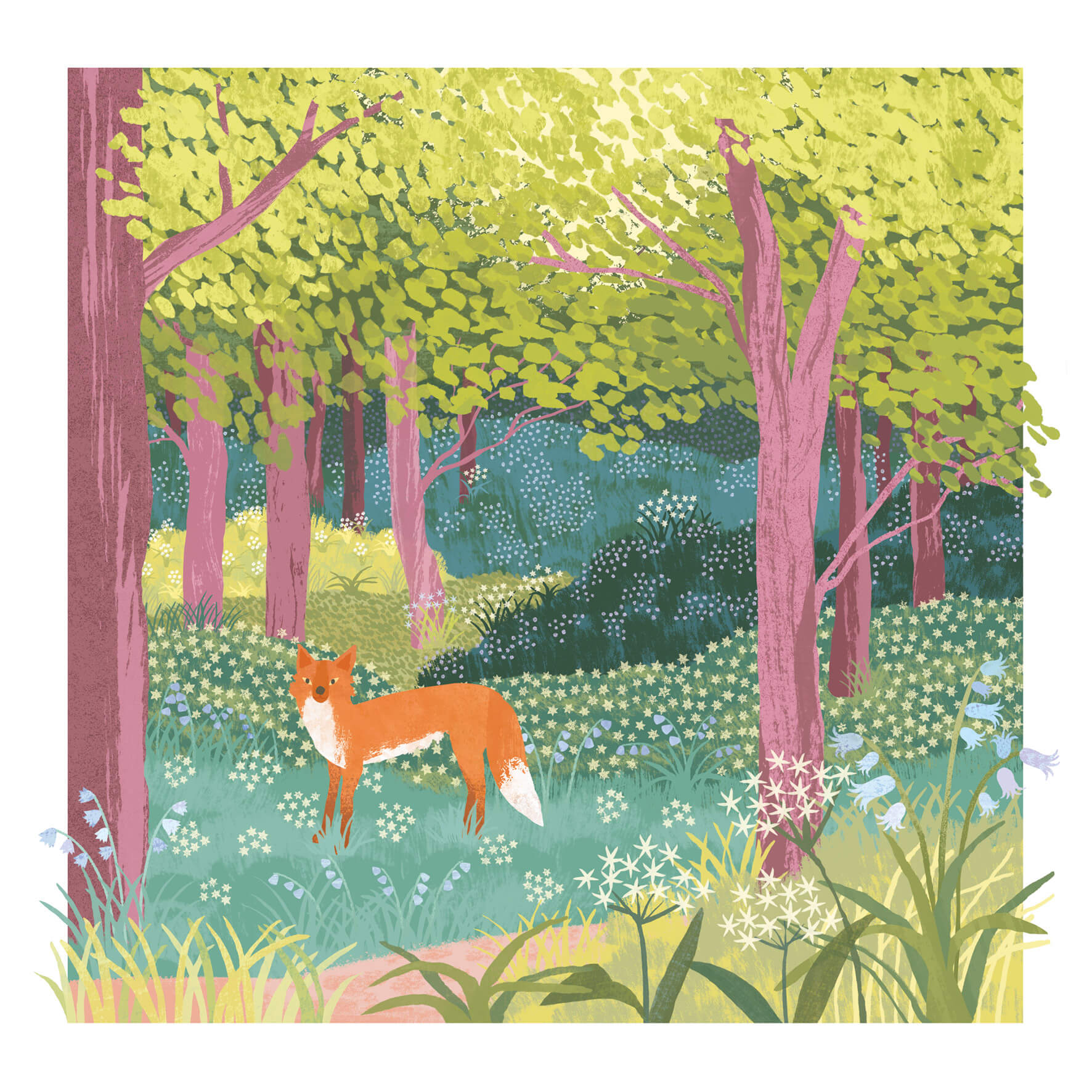 Over The Isles - Forêt et renard