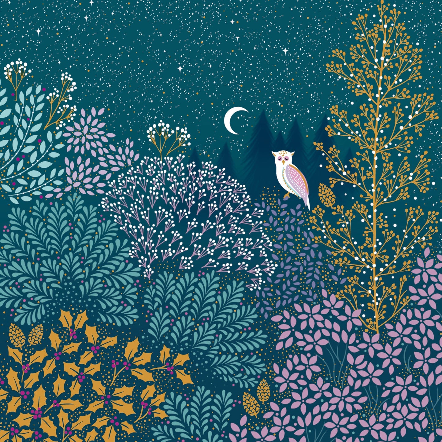 Sara Miller - chouette dans la forêt éclairée par la lune