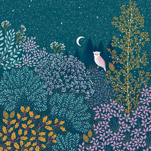 Sara Miller - chouette dans la forêt éclairée par la lune