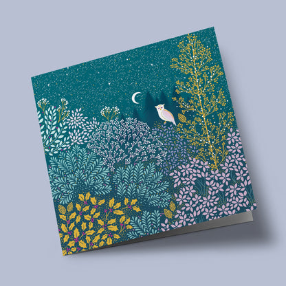 Sara Miller - chouette dans la forêt éclairée par la lune