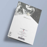 Shimmy - Heureux anniversaire