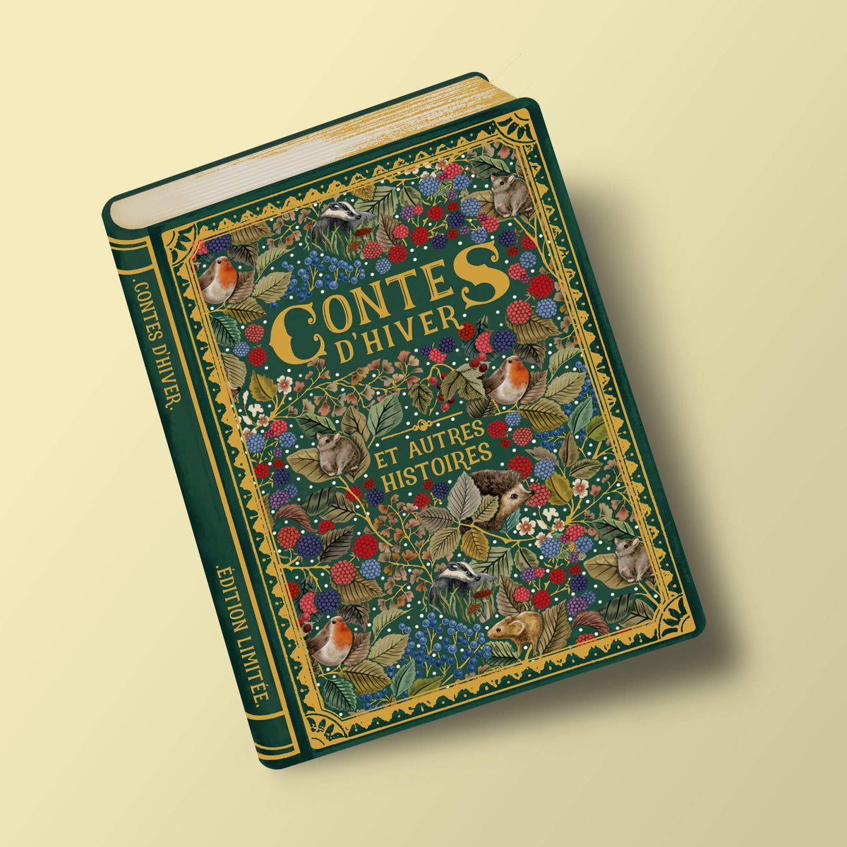 Story Book - Contes d'hiver