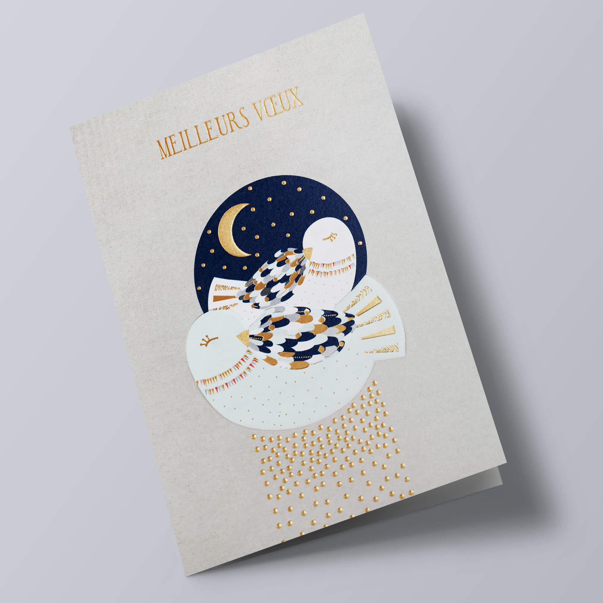 Winter Moonlight - Meilleurs voeux, oiseaux