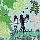 Nature Trail - Swallows in the countryside