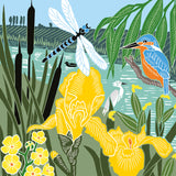 Nature Trail - Martin-pêcheur et libellule à la rive