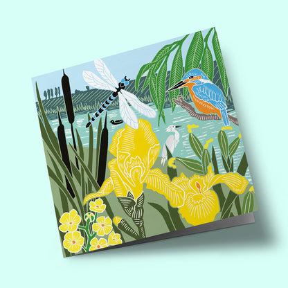 Nature Trail - Kingfisher and dragonfly at the shore