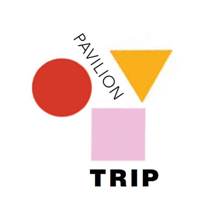 Une face de "Trip" par Pavilion