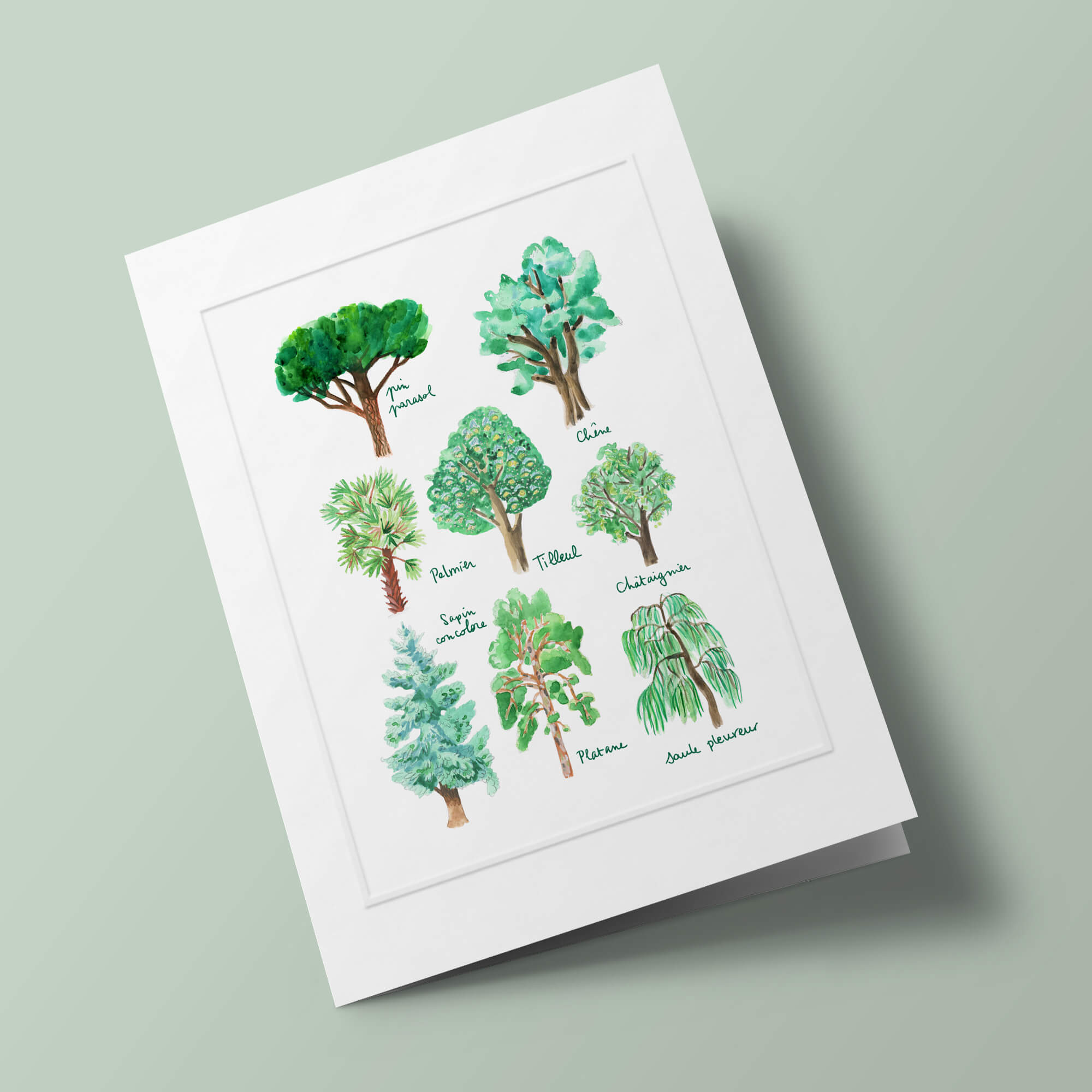 Histoire Naturelle - Arbres