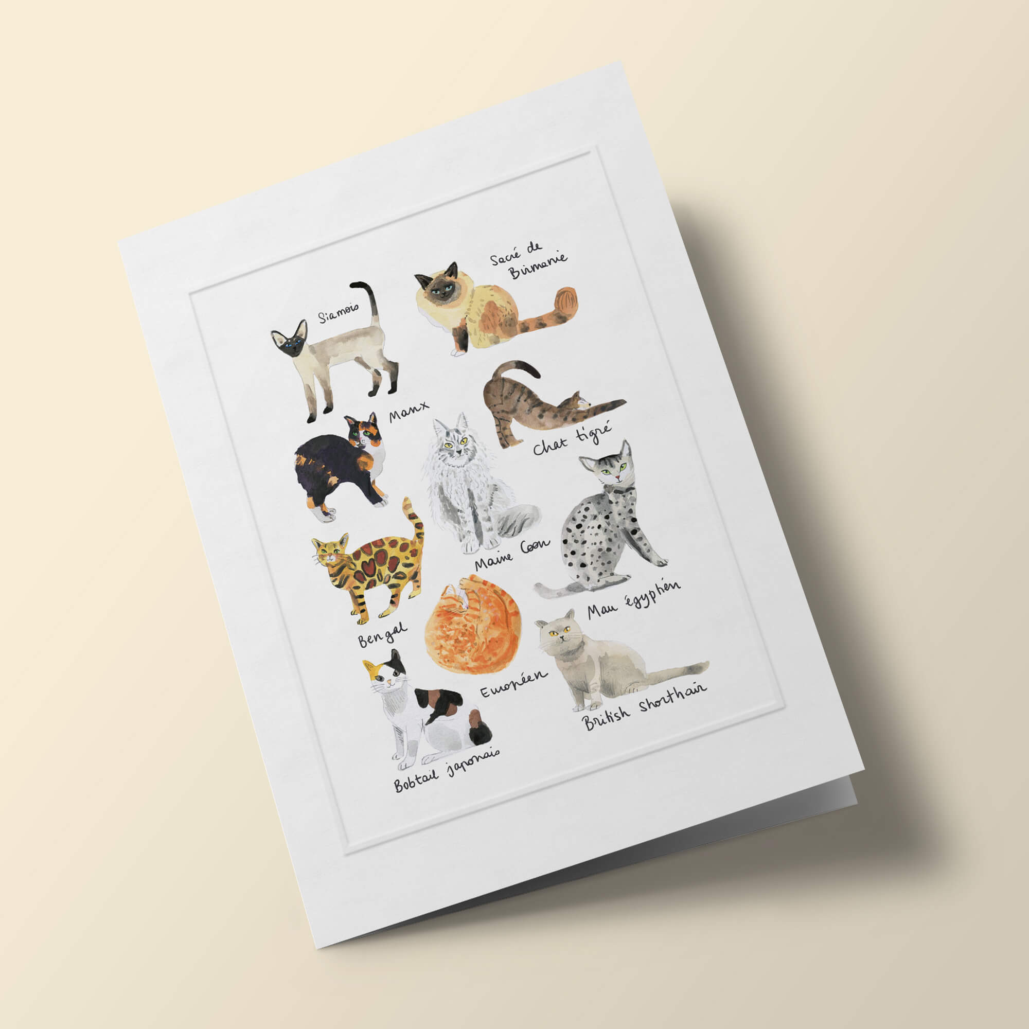 Histoire Naturelle - Chats