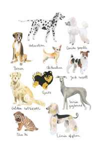 Histoire Naturelle - Chiens