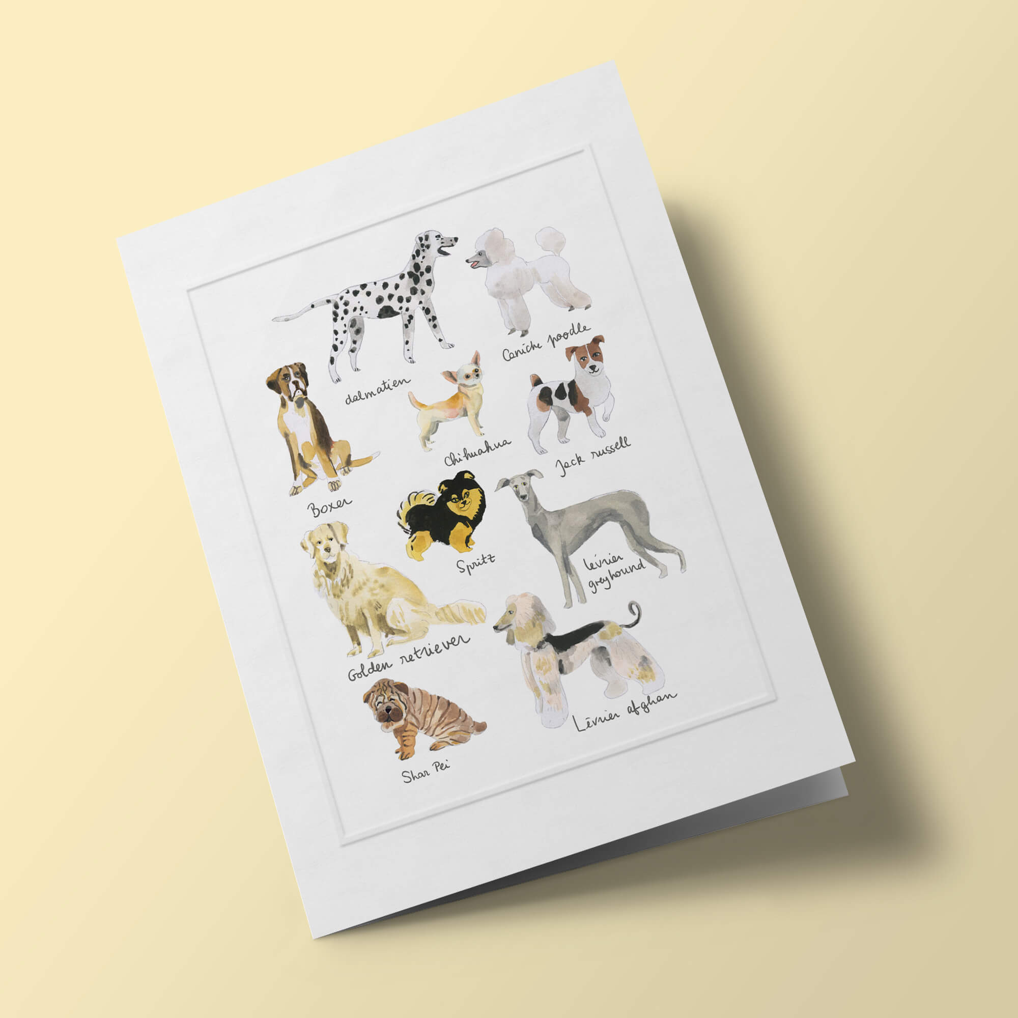 Histoire Naturelle - Chiens