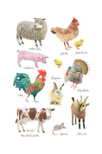 Histoire Naturelle - Animaux de la ferme