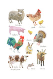 Histoire Naturelle - Animaux de la ferme