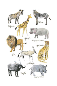 Histoire Naturelle - Animaux de la savane