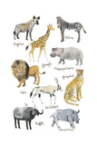 Histoire Naturelle - Animaux de la savane