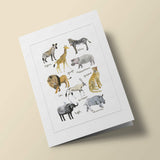 Histoire Naturelle - Animaux de la savane