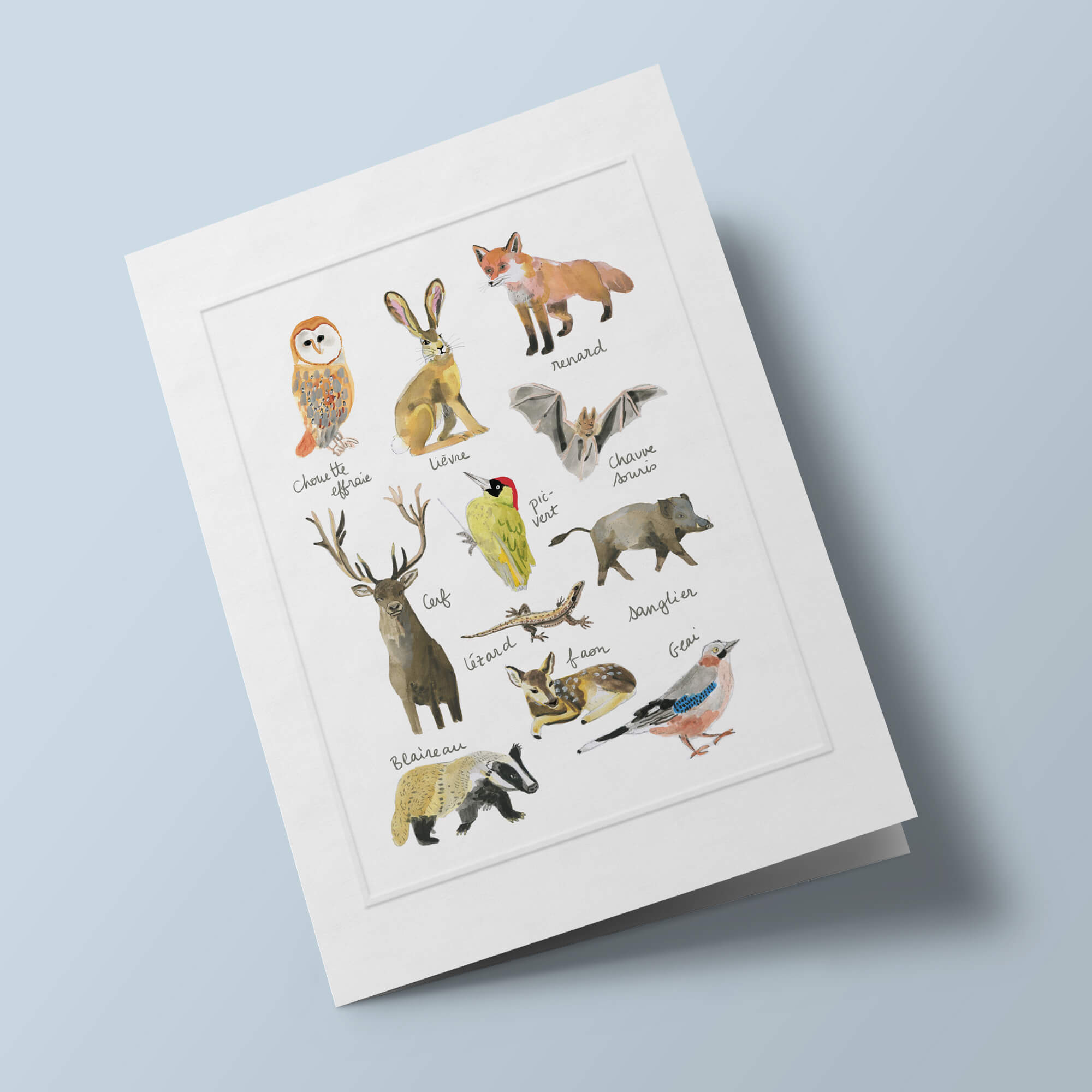 Histoire Naturelle - Animaux de la forêt française