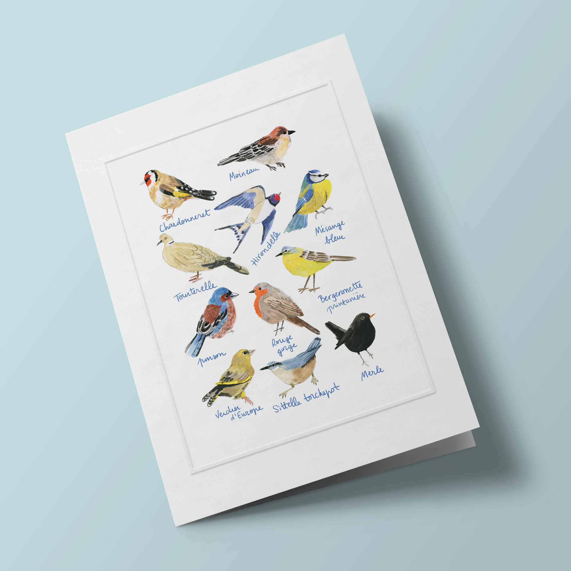 Histoire Naturelle - Oiseaux de nos jardins
