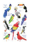 Histoire Naturelle - Oiseaux exotiques