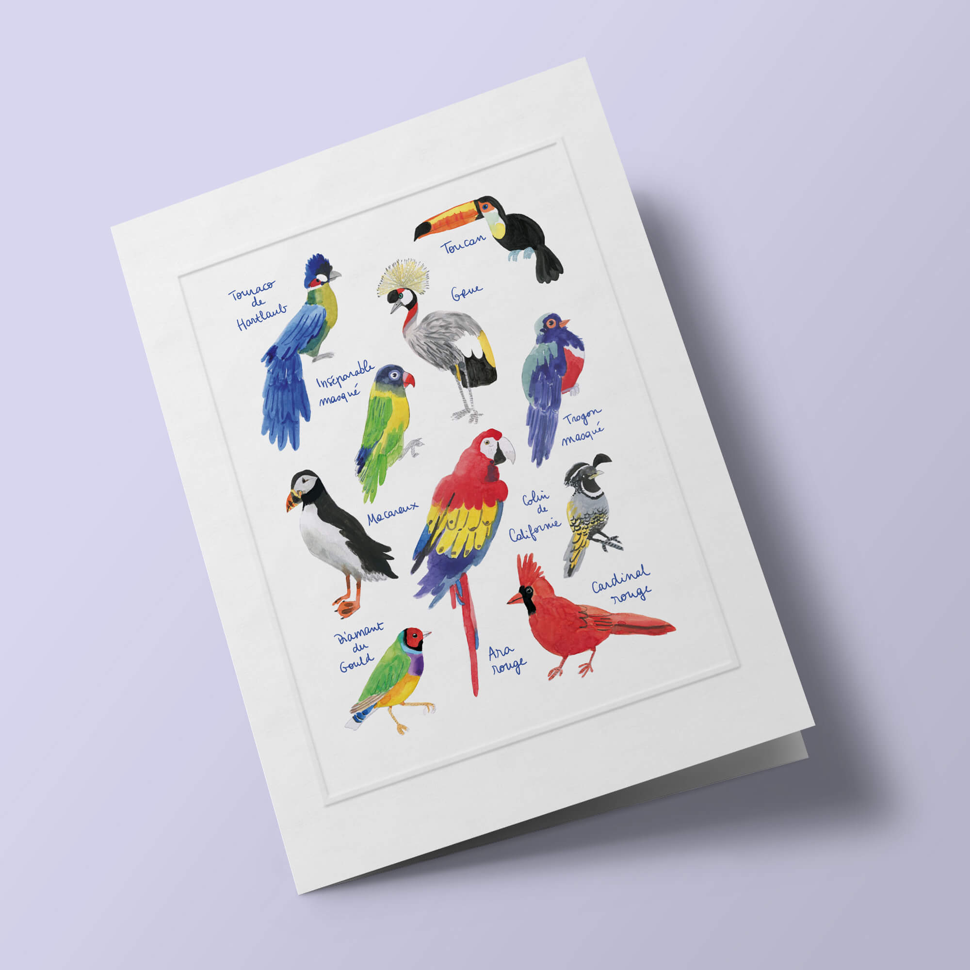 Histoire Naturelle - Oiseaux exotiques