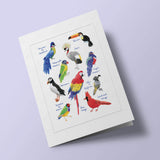 Histoire Naturelle - Oiseaux exotiques