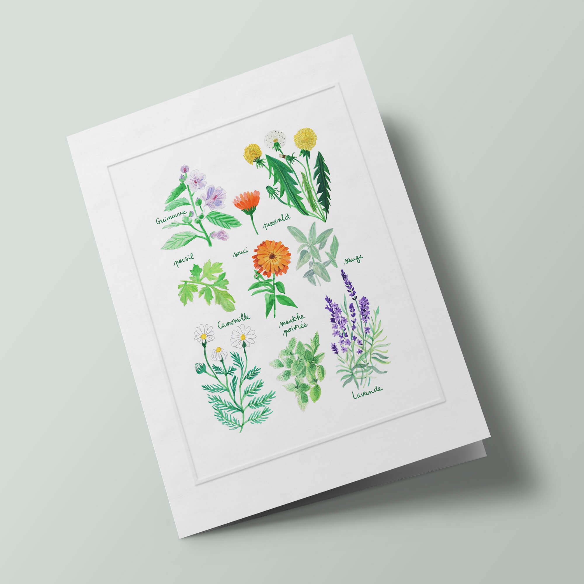 Histoire Naturelle - Plantes médicinales