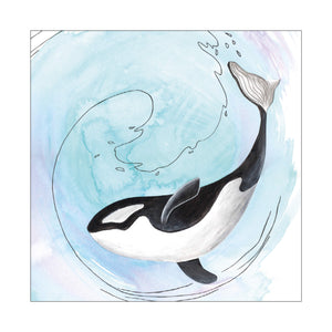 Carnaval des animaux - Orque