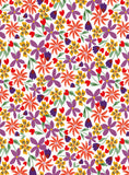 Il était une fois le printemps - Champs de fleurs