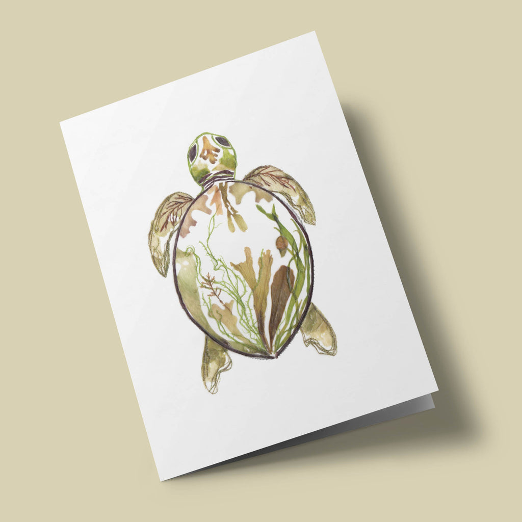 Tortue - dessin en fleurs pressées