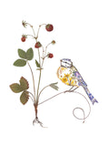 Au jardin de mon cœur - Mésange bleue - Fleurs pressées