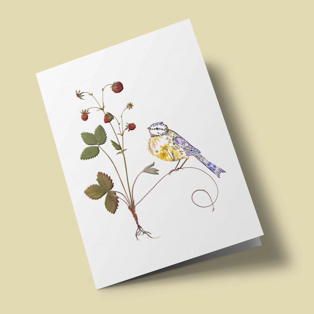 Au jardin de mon cœur - Mésange bleue - Fleurs pressées