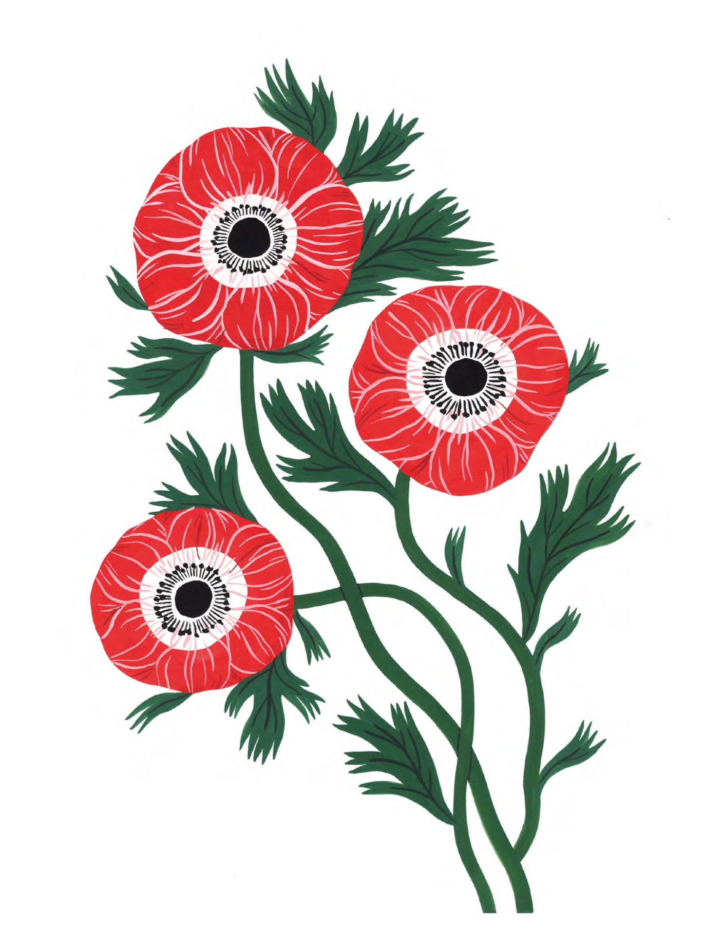 Flora - Anemone