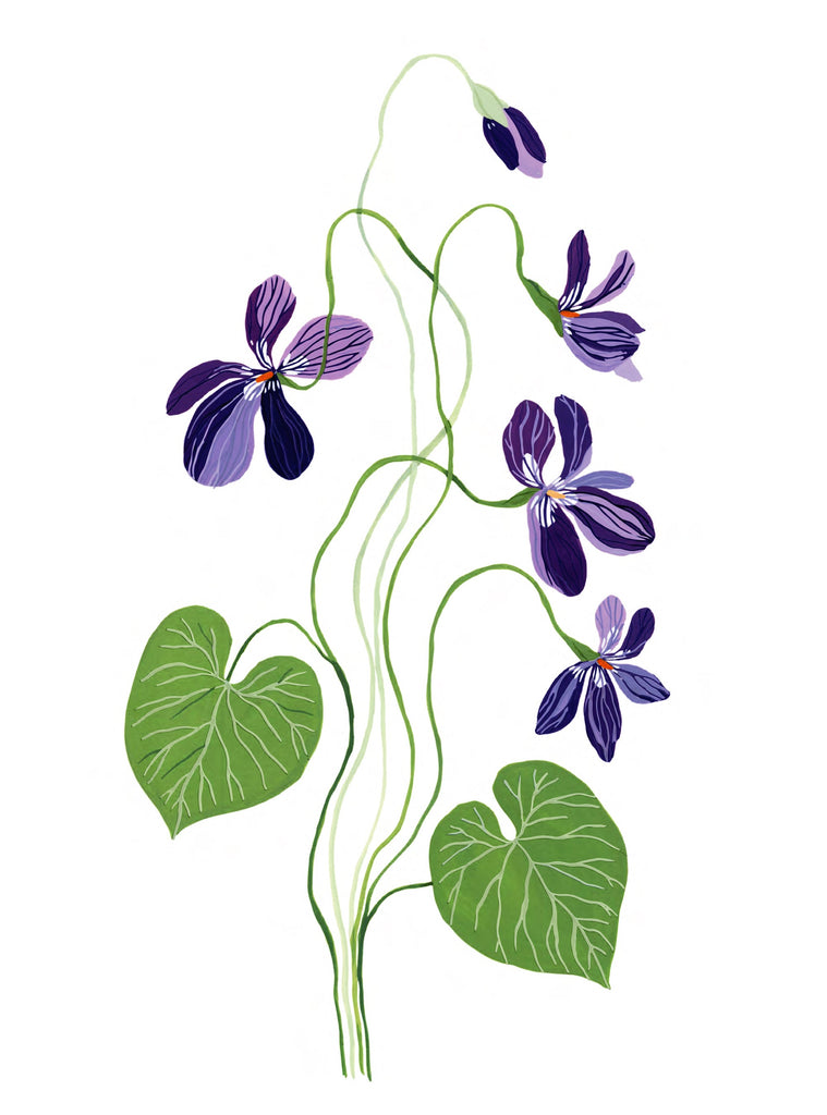 Flora - Violet