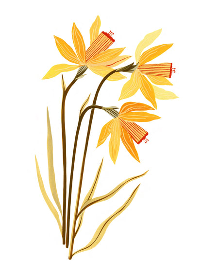 Flore - Narcisse