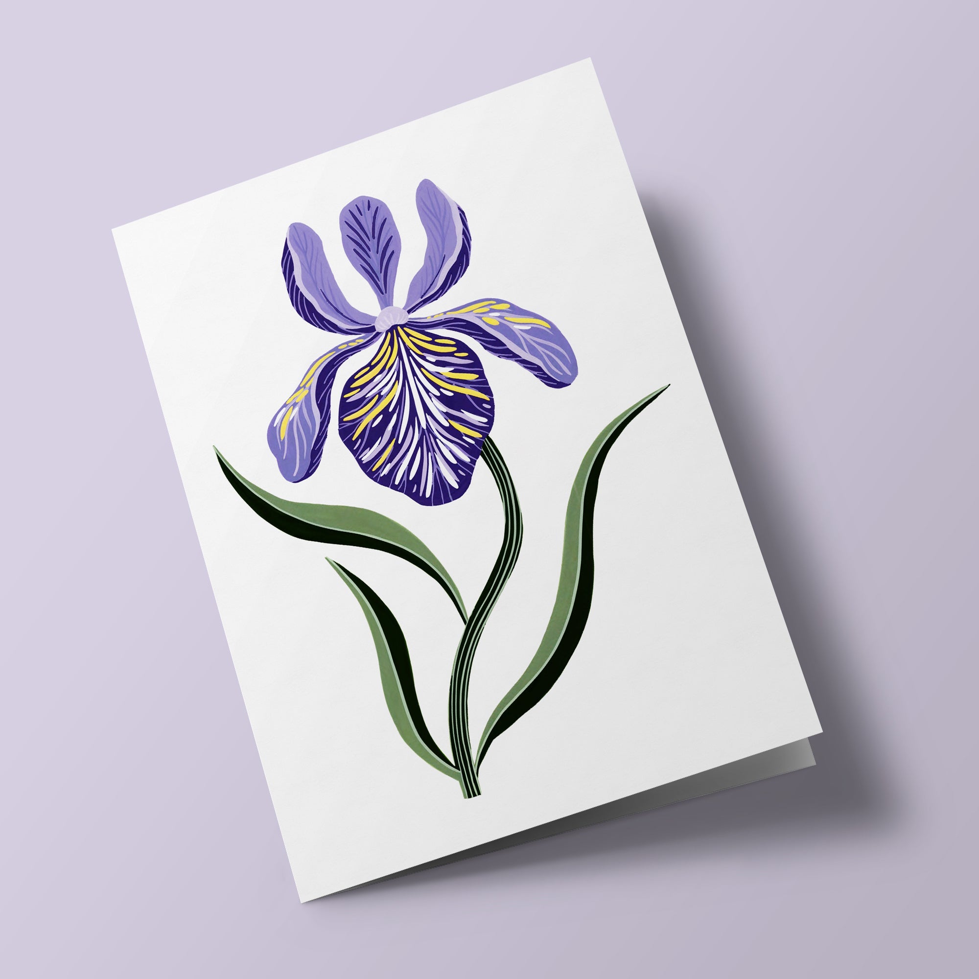 Flora - Iris