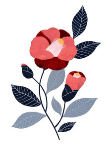 Flora - Camellia