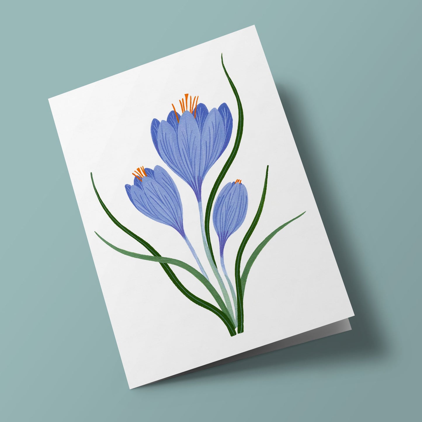 Flora - Crocus