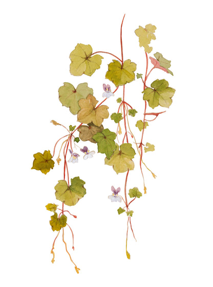 Une face de "Végétale" par Véronique Bachère