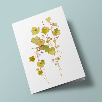 Plant Life - Ruin-of-Rome