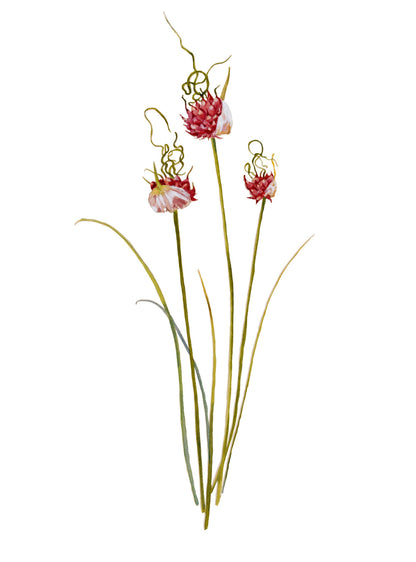 Une face de "Végétale" par Véronique Bachère