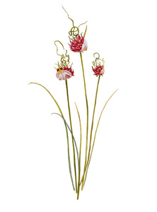 Plant Life - Vine garlic