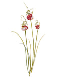 Plant Life - Vine garlic