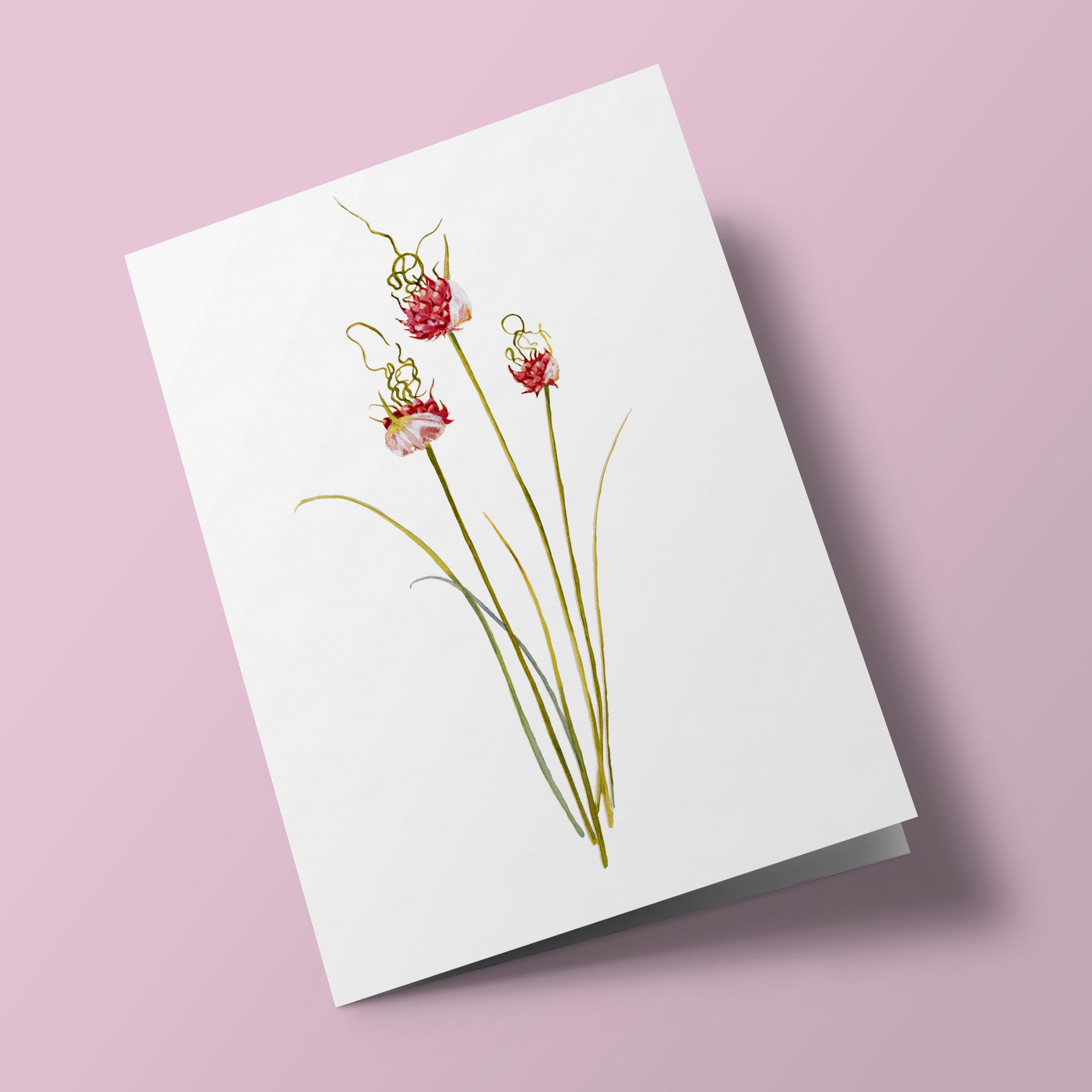 Plant Life - Vine garlic