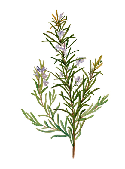 Une face de "Végétale" par Véronique Bachère