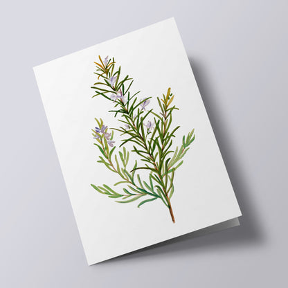 Plant Life - Rosemary