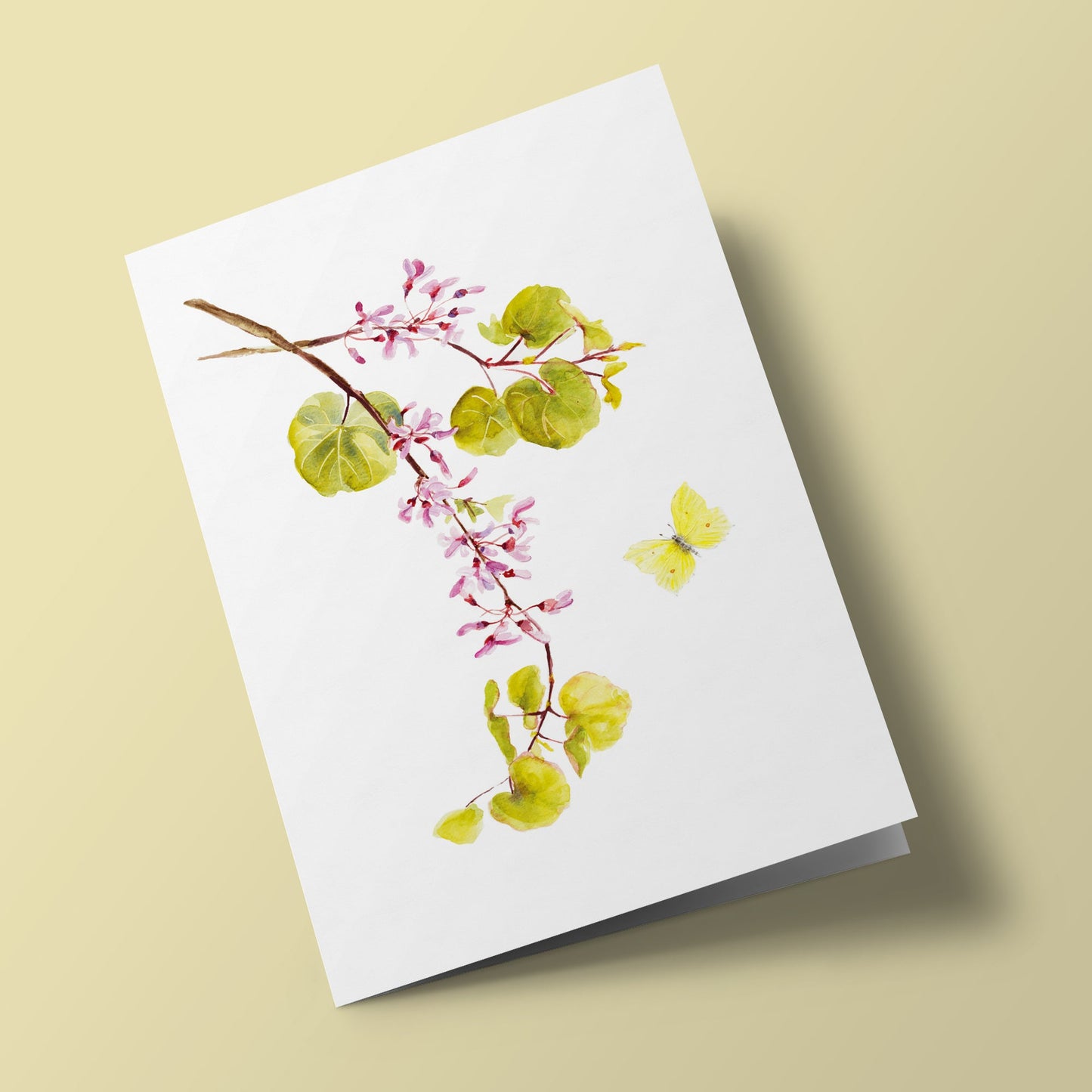 Plant Life - Judas Tree and Lemon