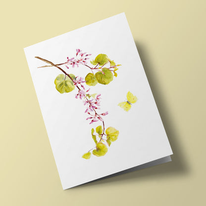 Plant Life - Judas Tree and Lemon