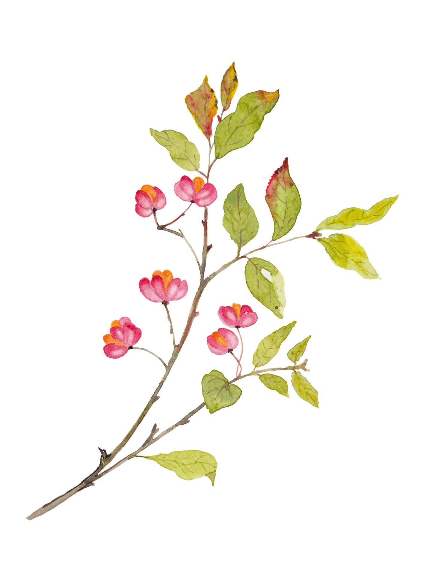 Une face de "Végétale" par Véronique Bachère