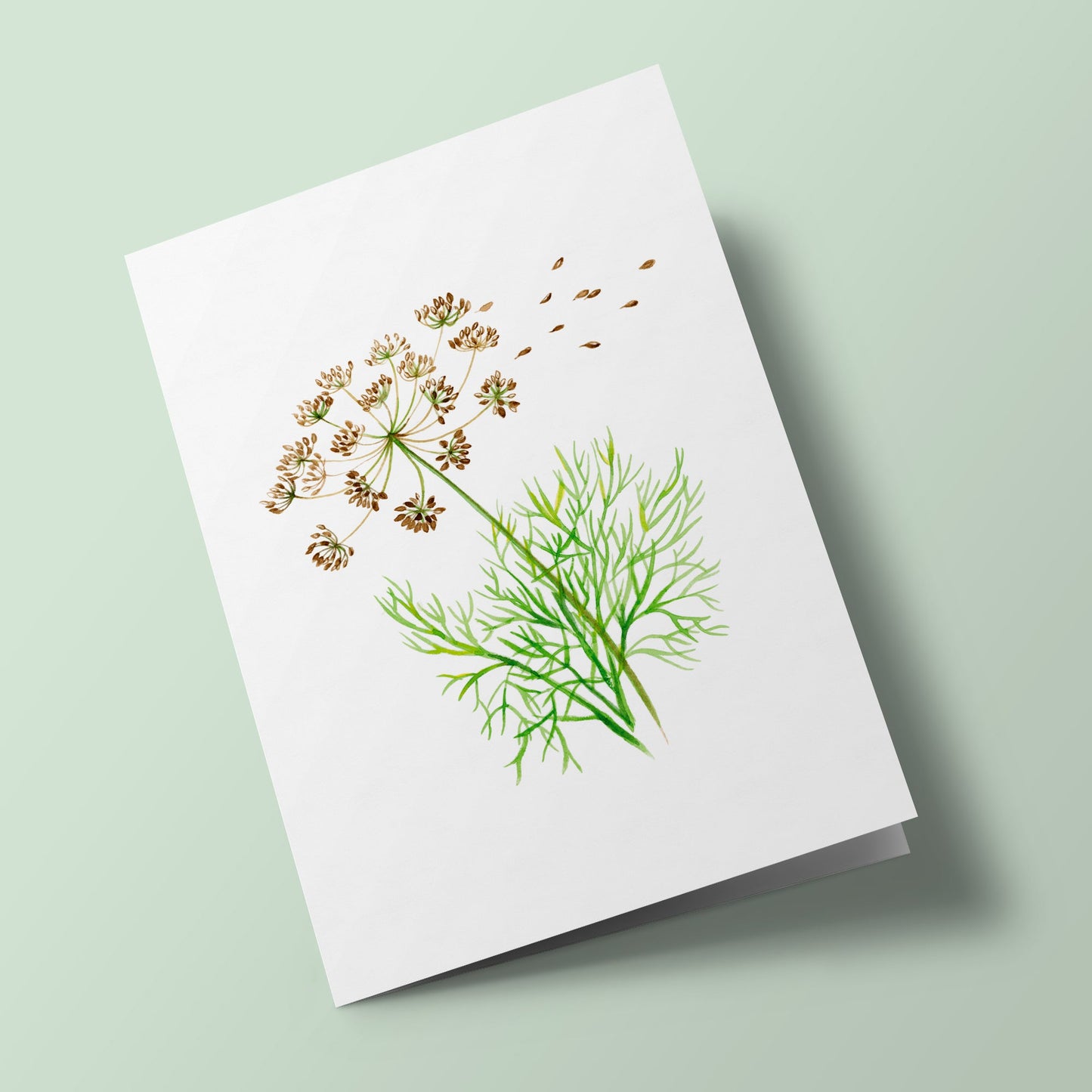 Plant Life - Dill