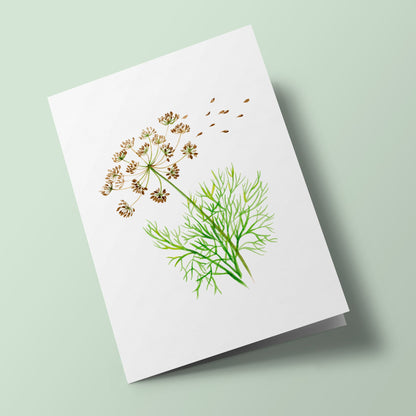 Plant Life - Dill